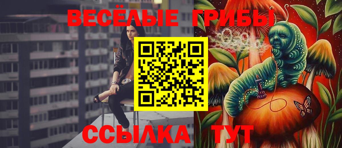 Галлюциногенные грибы Cubensis Москва